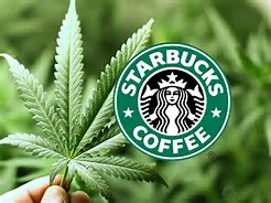 Starbucks weed